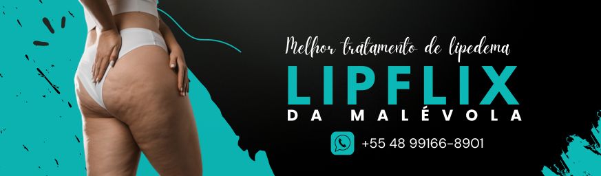 LipFlix 1.0